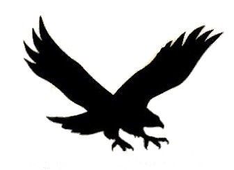 Hawk Logo